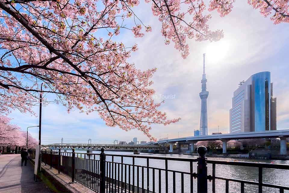 vietrantour-671c72a14bd99Tháp Tokyo Sky Tree