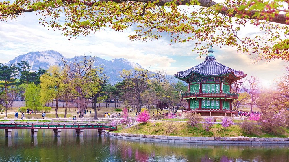 TOUR HÀN QUỐC: HOA ANH ĐÀO: MƠ GIỮA SẮC HỒNG  SEOUL – NAMI – EVERLAND – CÔNG VIÊN YEOUIDO